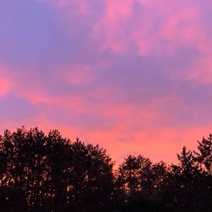 Meet your Posher, Hunter